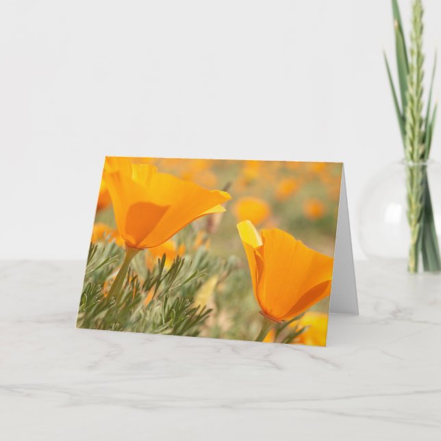 Carte Poppies d'or (Devant)