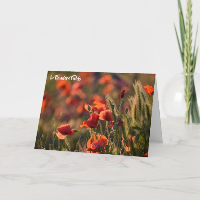 Carte Poppies Rouges, En Flandre Fields Poème (Devant)