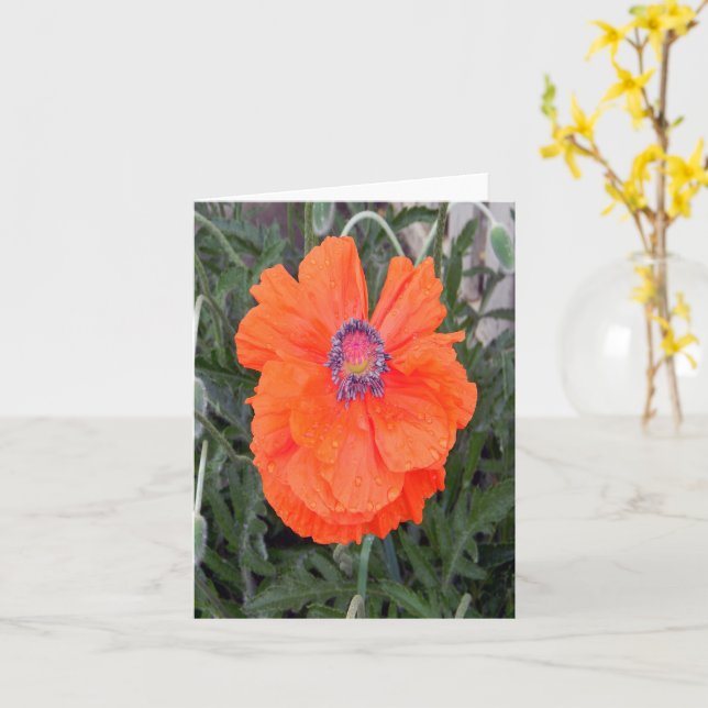Carte Poppy chinois... (Fleur jaune)