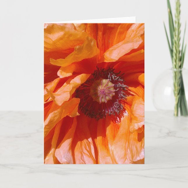 Carte Poppy orange (Devant)