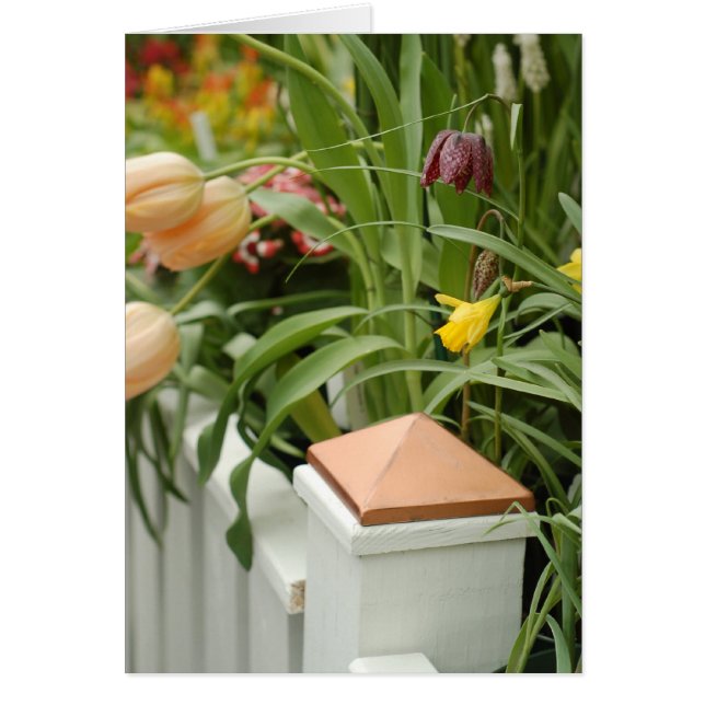 Carte Porte des fleurs (Devant)