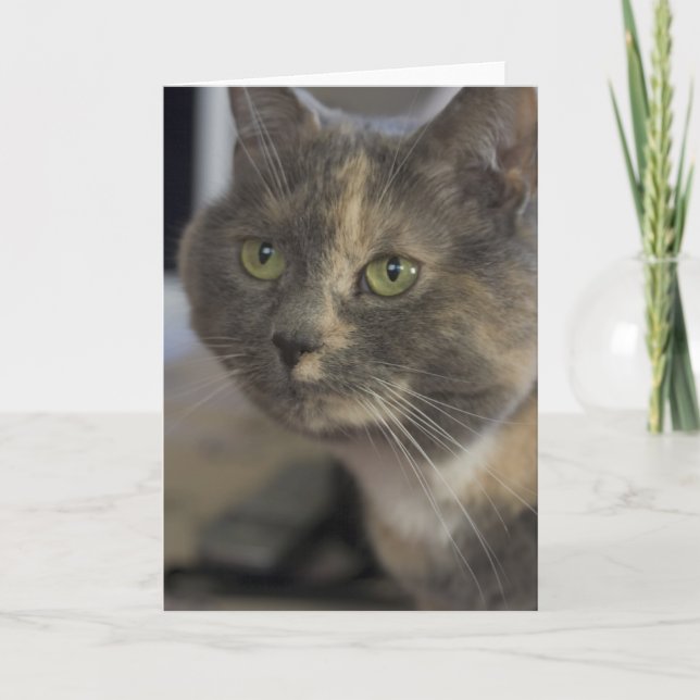 Carte Portrait Cat (Devant)