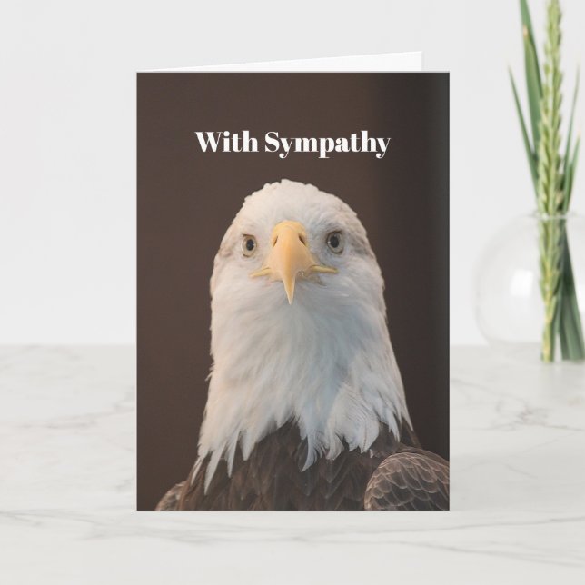 Carte Portrait d'aigle à tête blanche - Sympathie photo (Devant)