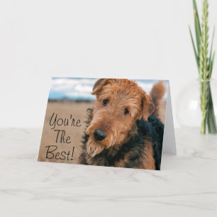 Carte Portrait d'Airedale Terrier 2
