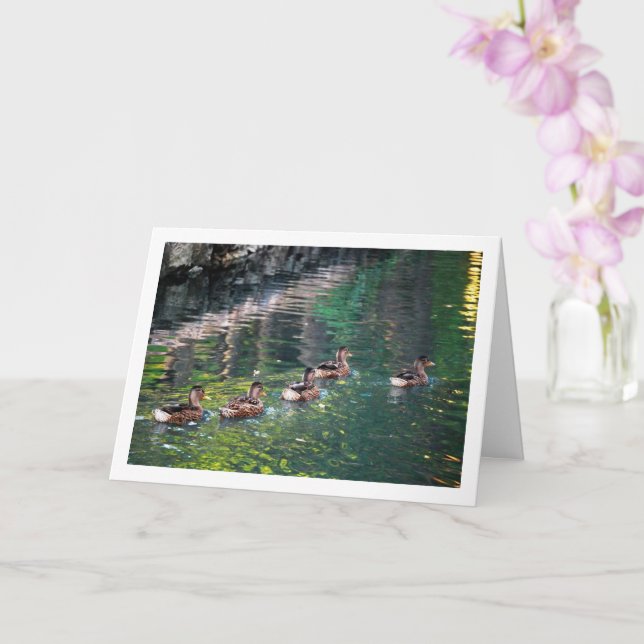 Carte Portrait de canard colvert sur l'eau avec reflet (Orchidée)