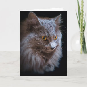 Carte Portrait de chat Nebelung à poil long Blue Russe