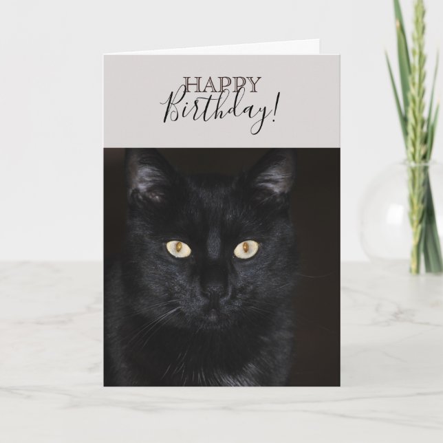 Carte Portrait de chat noir (Devant)