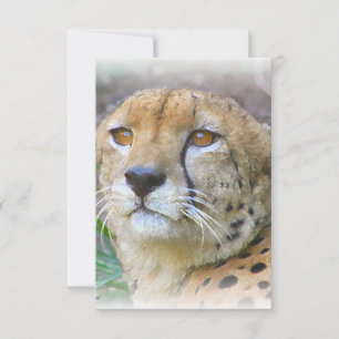 Carte Portrait de Cheetah
