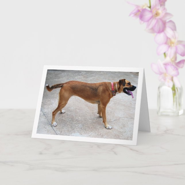 Carte Portrait de chien (Orchidée)