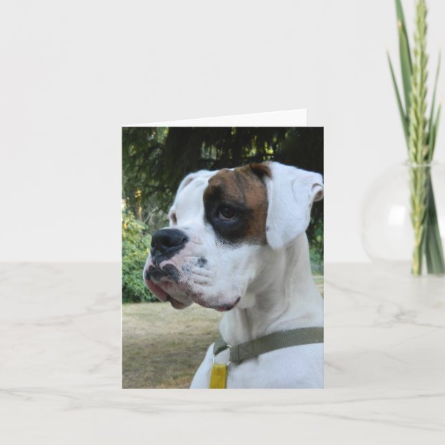 Carte Portrait de chien de boîte blanche (Devant)