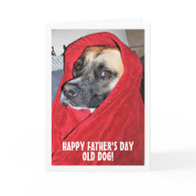 Portrait de chien sous couverture rouge