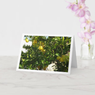 Carte Portrait de citron