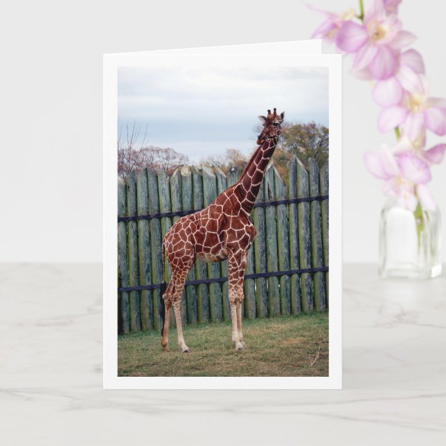 Carte Portrait de girafe (Orchidée)