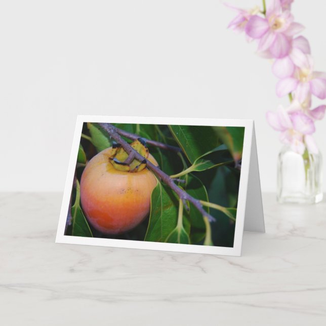Carte Portrait de kaki sur l'arbre (Orchidée)