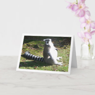 Carte Portrait de lémur à queue de cerne