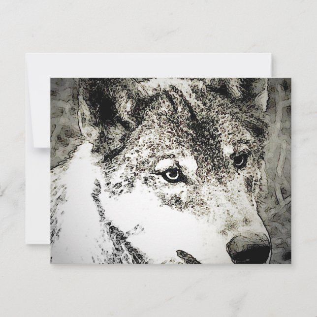 Carte Portrait de loup gris (Devant)