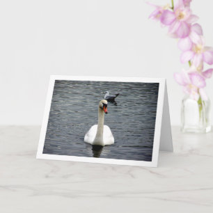 Carte Portrait de Swan