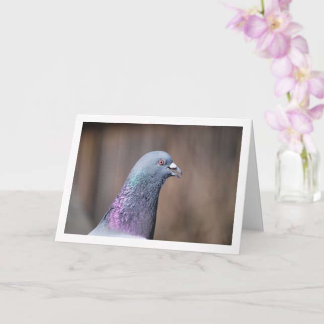 Carte Portrait de tête de pigeon (Orchidée)