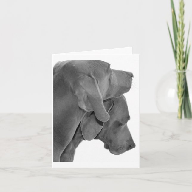 Carte Portrait de Weim - noir et blanc (Devant)