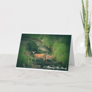 Carte Portrait d'une famille de cerfs communs