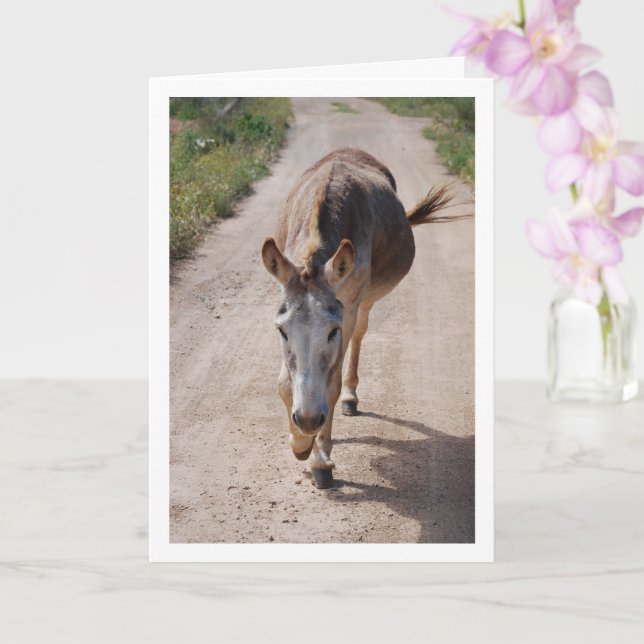 Carte Portrait d'une mule espagnole (Orchidée)