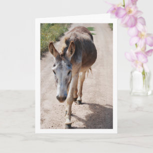 Carte Portrait espagnol de Mule