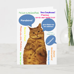 Carte Portugais : Parabens ! chat idiot