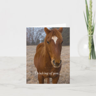 Carte Pose de cheval Pensant à vous