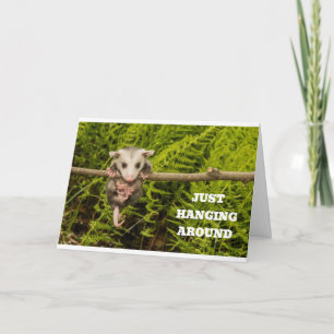 CARTE POSSUM HUMOUR POUR "VOTRE" ANNIVERSAIRE
