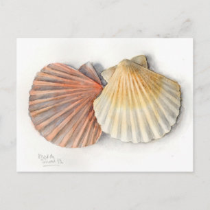 Carte Post Art - Coques de mer, Aquarelle