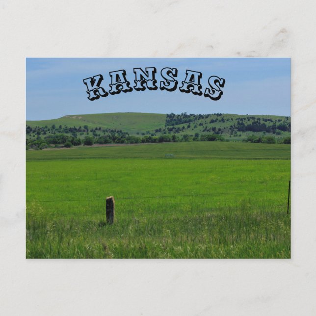 CARTE POST Kansas Green Meadow (Devant)