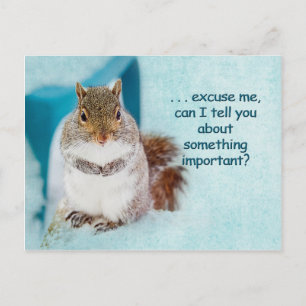 CARTE POST - PUBLICITÉ - SQUIRREL CUTE