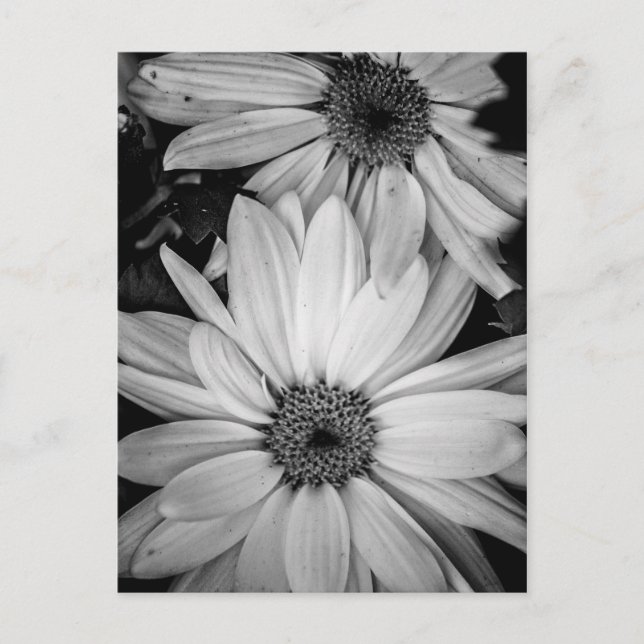 Carte postale (Devant)