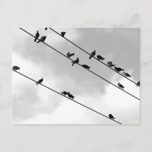 Carte postale