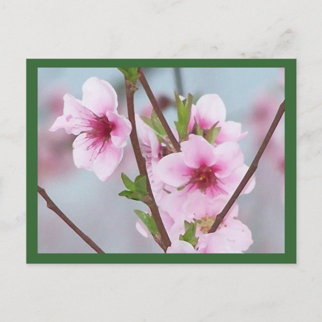 Carte postale (Devant)