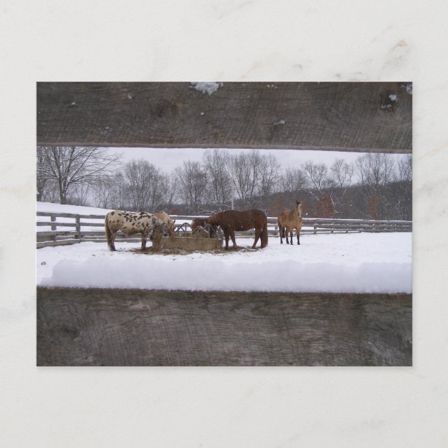 Carte postale (Devant)