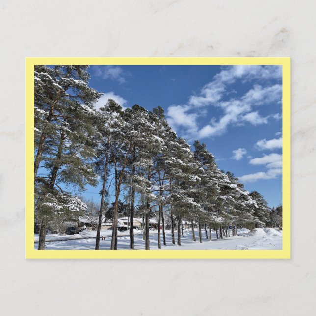 Carte postale (Devant)