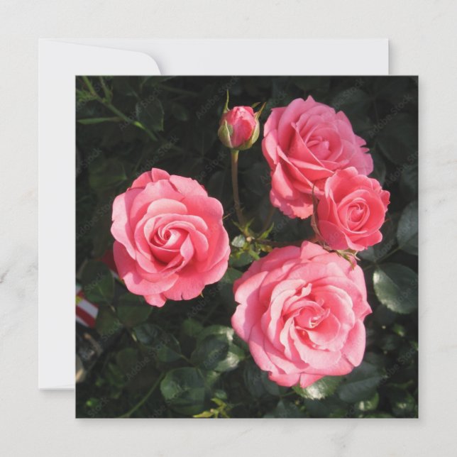 Carte postale (Devant)