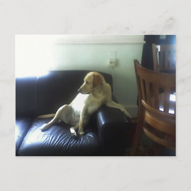 CARTE POSTALE  (Devant)