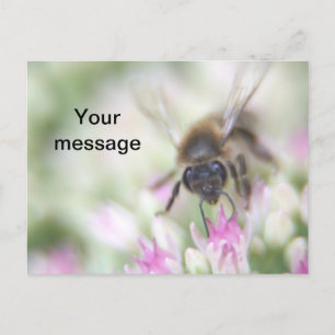 Carte postale