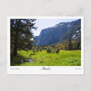 Carte postale