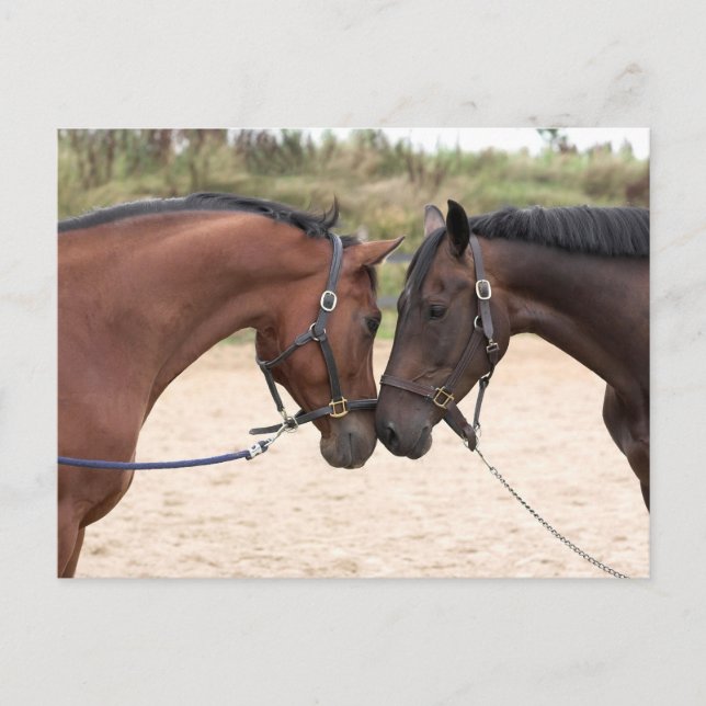 carte postale (Devant)