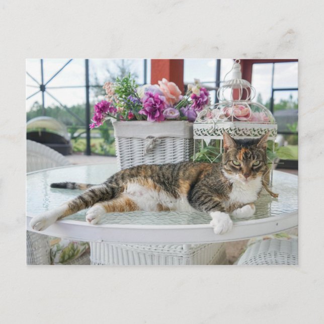 carte postale (Devant)