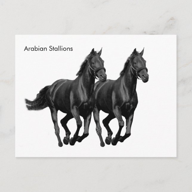 Carte postale (Devant)