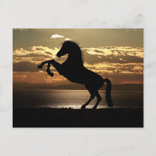 carte postale