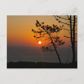Carte postale