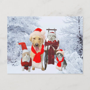 Carte postale