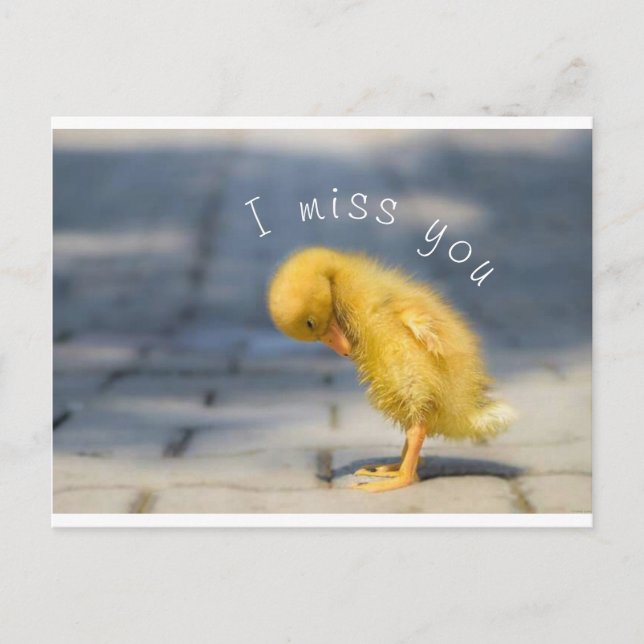 Carte postale (Devant)