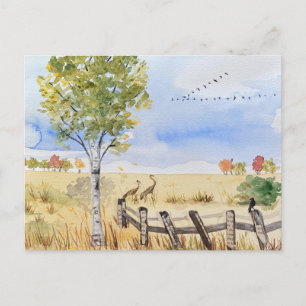 carte postale
