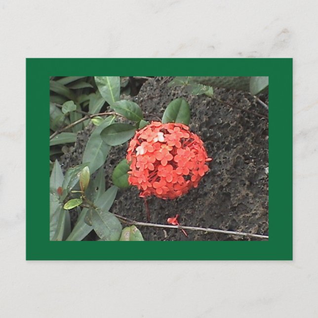 Carte postale (Devant)